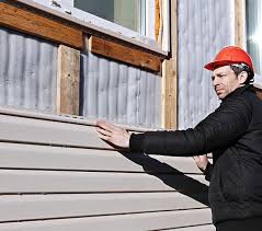 Best Vinyl Siding Installation  in Jackpot, NV